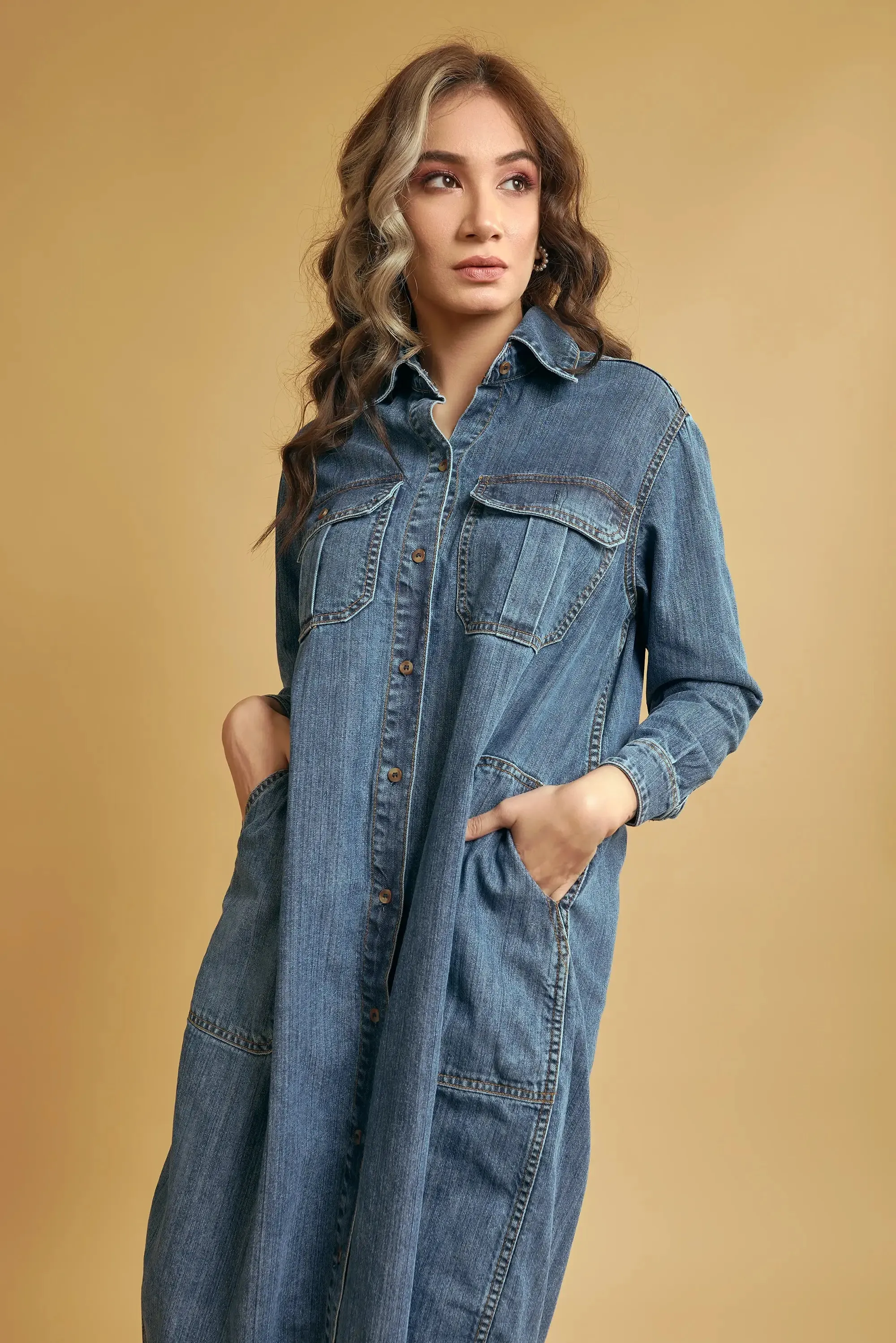 Women's Denim Shirt Dress
